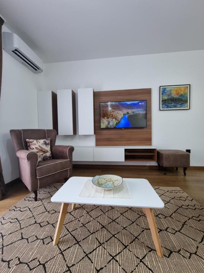 Fantastic New Centre Apartment Podgoriţa Exterior foto
