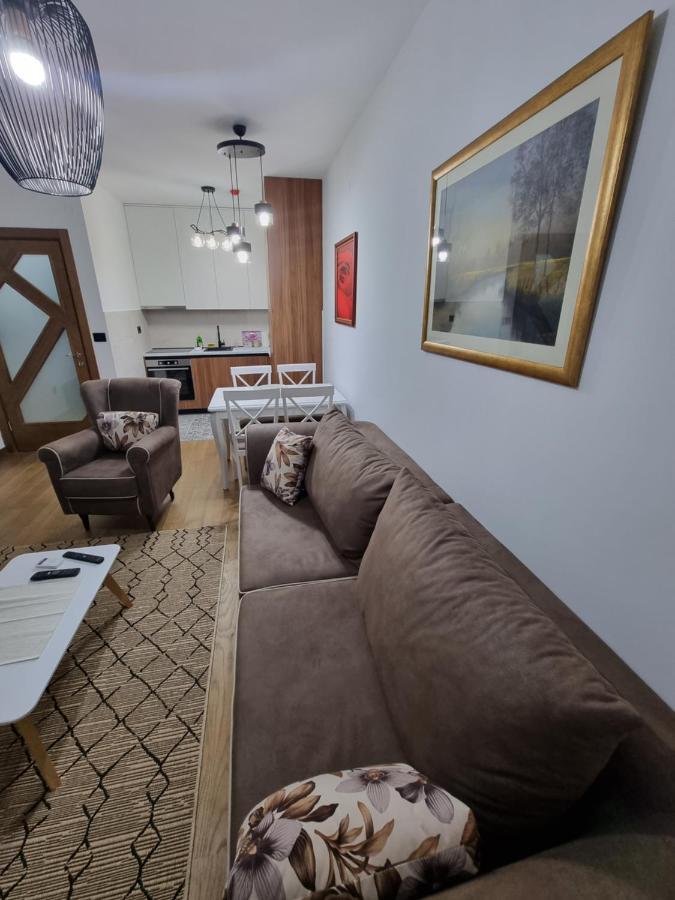 Fantastic New Centre Apartment Podgoriţa Exterior foto