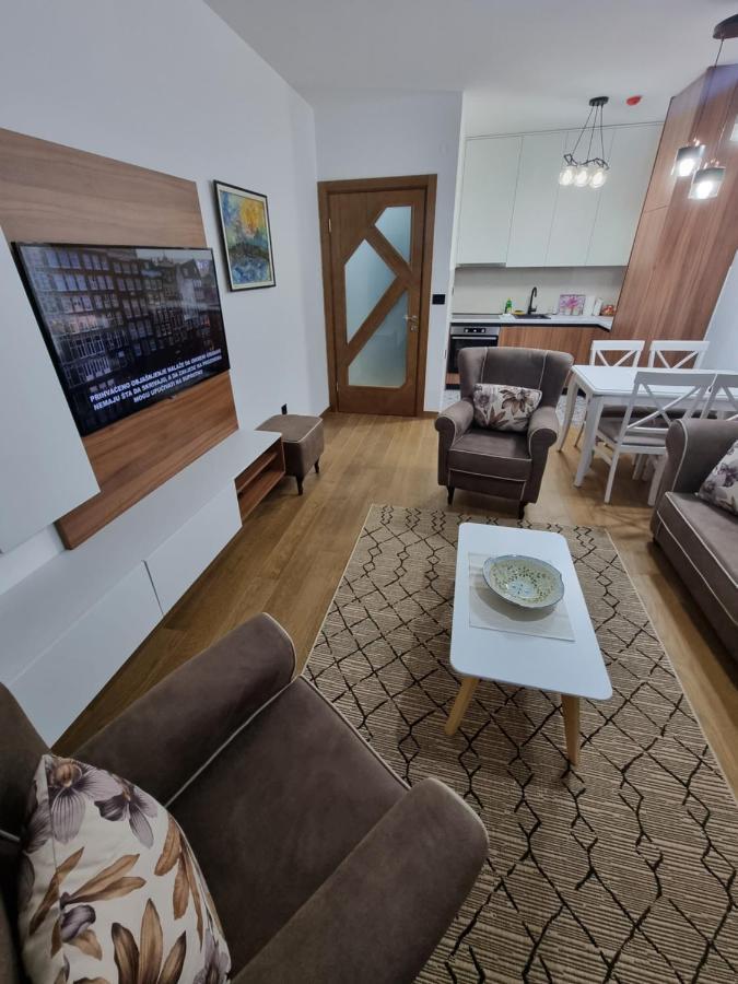 Fantastic New Centre Apartment Podgoriţa Exterior foto